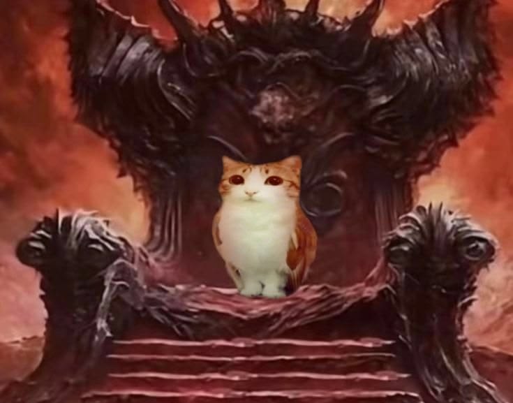 CheerfulMeowl's tweet photo. $CM THE REAL KING https://t.co/HrBM27XINB