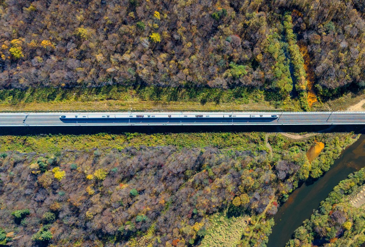 XHNews's tweet photo. Autumn adventures got a speed boost! China's northernmost high-speed railway, the Harbin-Yichun line, is carrying visitors straight through the rich, colorful autumn forest. https://t.co/iZMrhkUb9e https://t.co/Cqxo22C0j7