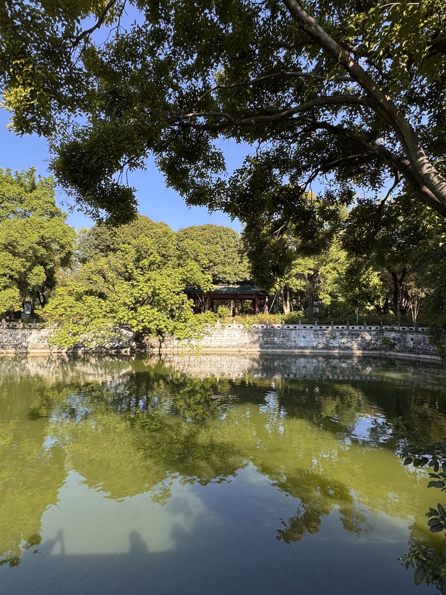 TimeToGlow3's tweet photo. 柳侯公园 https://t.co/dLN89AXWvi
