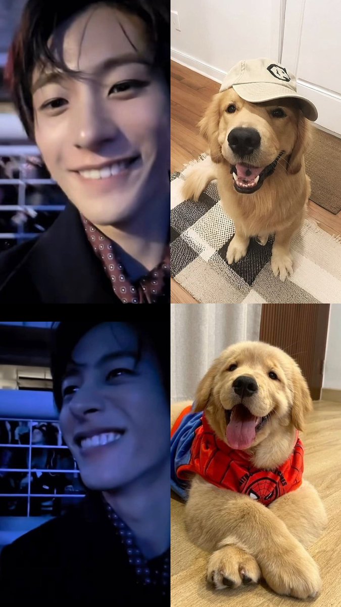 podongbaby321's tweet photo. https://t.co/c2WMjV3870