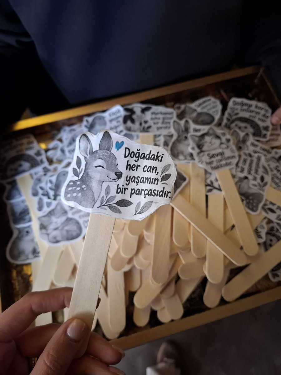 GkvKurumsal's tweet photo. ÖĞRENCİLERİMİZ HAYVANLARIN SESİ OLDU!

Öğrencilerimiz, Bireyler ve Toplumlar dersinde hayvanların yaşam hakkı ve korunması üzerine düşünerek öğrendiklerini anlamlı bir eyleme dönüştürdüler. https://t.co/lXXVAdjbHu