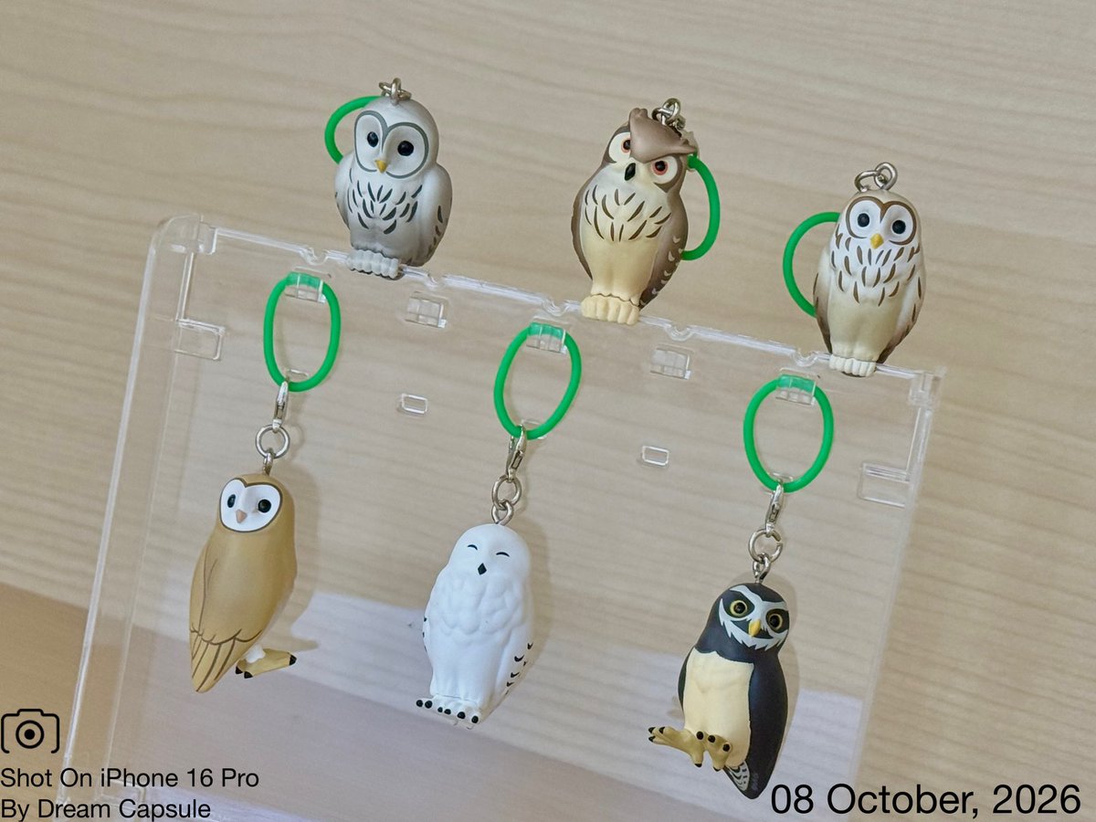 dreamcapsuleCEO's tweet photo. 🌟新入荷ガチャ商品プレゼントCP🌟

様々な種類のフクロウのチャームが登場🦉
「フクロウ マーカーチャーム」

フォロー&amp;RP(RT)していただいた方の中から抽選で2名様に全6種セットをプレゼント🎁

ドリカプへの入荷日とキャンペーン詳細は↓

#ドリームカプセル #ガチャ専門店 https://t.co/MzVif6Fah8