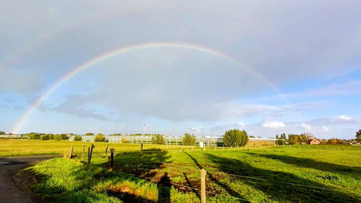 RonnyPopelier's tweet photo. #vrtweer Ronny Popelier Oostrozebeke 9h16 https://t.co/CcDcYEoZqs