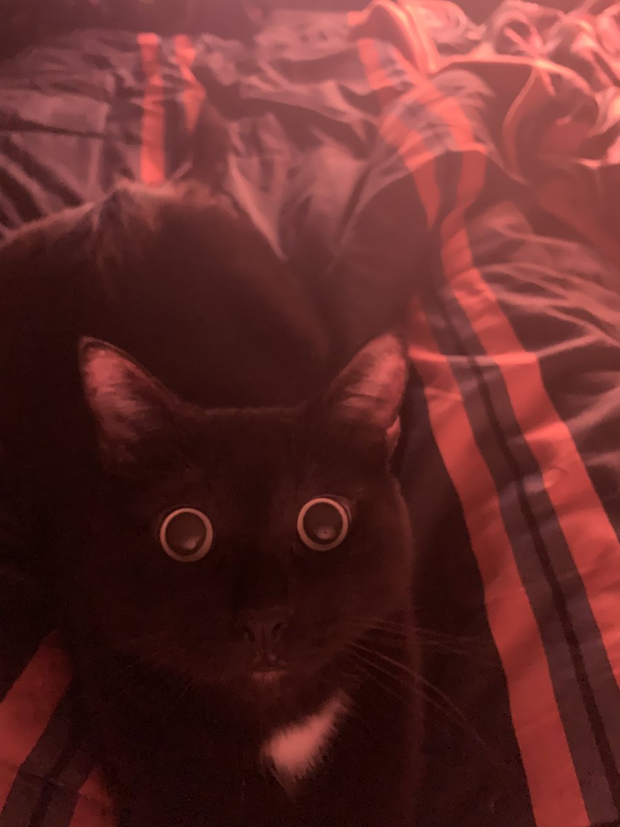 eviltweets725's tweet photo. Genuinely what is this thing https://t.co/rEAoG5TCFn