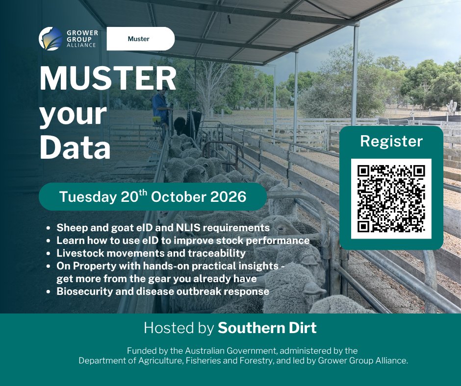 DirtSouthern's tweet photo. Got eID gear in the shed but not sure you're getting the most out of it? 🐑

Join us for MUSTER Your Data, a practical morning on eID, NLIS and livestock data, with demos in the yards.

📅 Tue 20 Oct, 8:30am to 1pm
📍 Kojonup 

Register: https://t.co/dacBdWCLsn https://t.co/a5JSF2eTV4