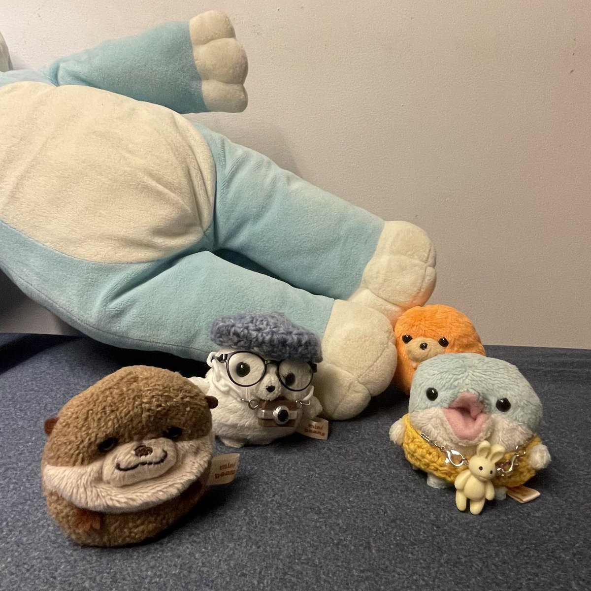 tongarari1's tweet photo. なんか丸いのがいっぱい居る https://t.co/O72rqoP0jN