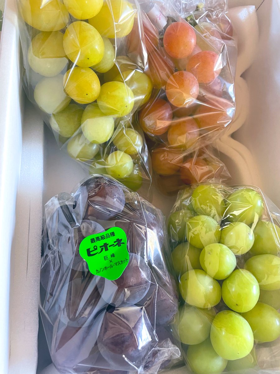 i_rug5's tweet photo. 美味しい葡萄を頂きました🍇🍇
今年は台風が凄いから農家さん大変だろうなぁ
美味しい葡萄と送ってくださったお友達に感謝🙏✨ https://t.co/GkdQ4IBLKG