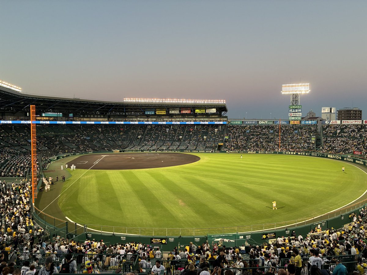 T_K_0702's tweet photo. 着弾！今日はここから！⚾️
公式戦最終戦！テルの40号ホームランで、勝って締めるで！
絶対勝つぞ、タイガース！🐯
#阪神タイガース #甲子園球場 https://t.co/OhESqsKoJa
