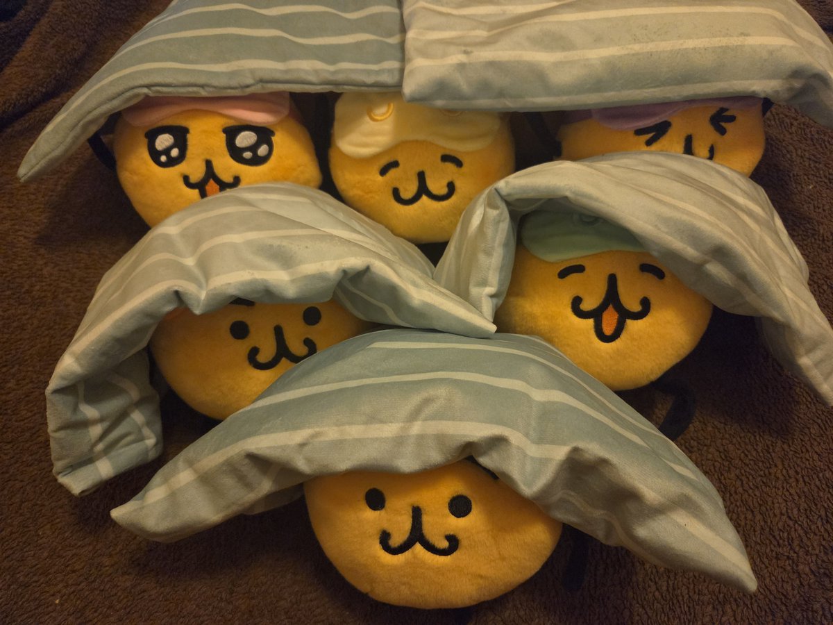 kuke66635681's tweet photo. おふとんパーチー https://t.co/8eHoQNZ6D0