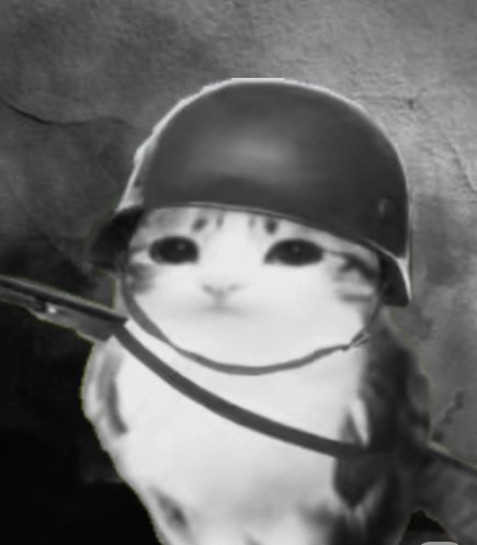 CheerfulMeowl's tweet photo. $CM never die https://t.co/L7yBHV0cAf
