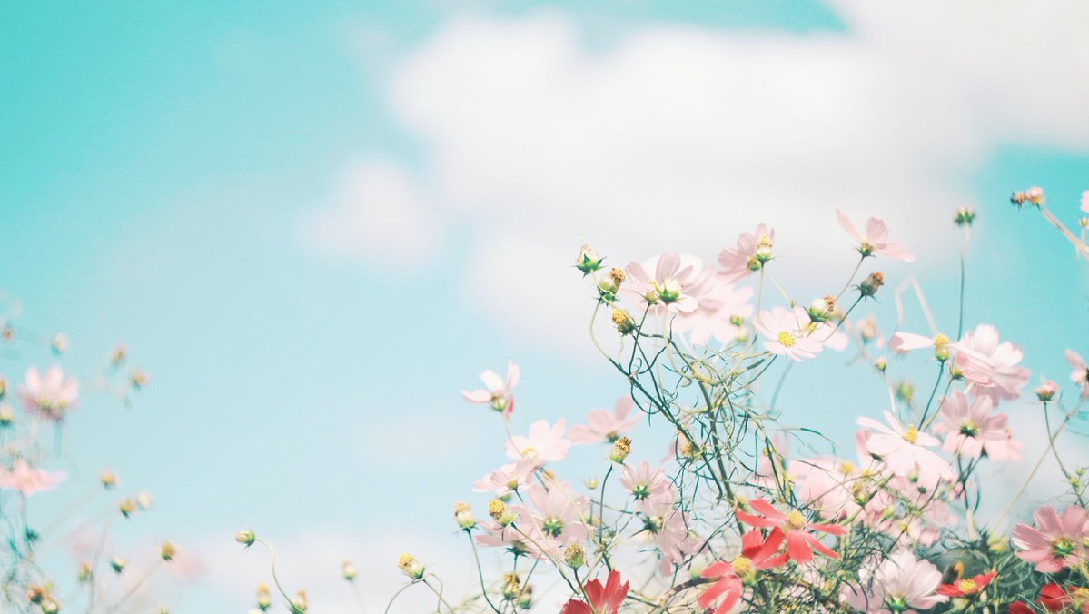noco3n_com's tweet photo. FUJIFILM X-T10 https://t.co/ZEGH8ACLJn