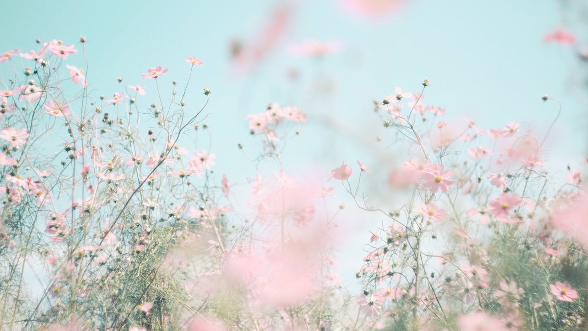 noco3n_com's tweet photo. FUJIFILM X-T10 https://t.co/ZEGH8ACLJn