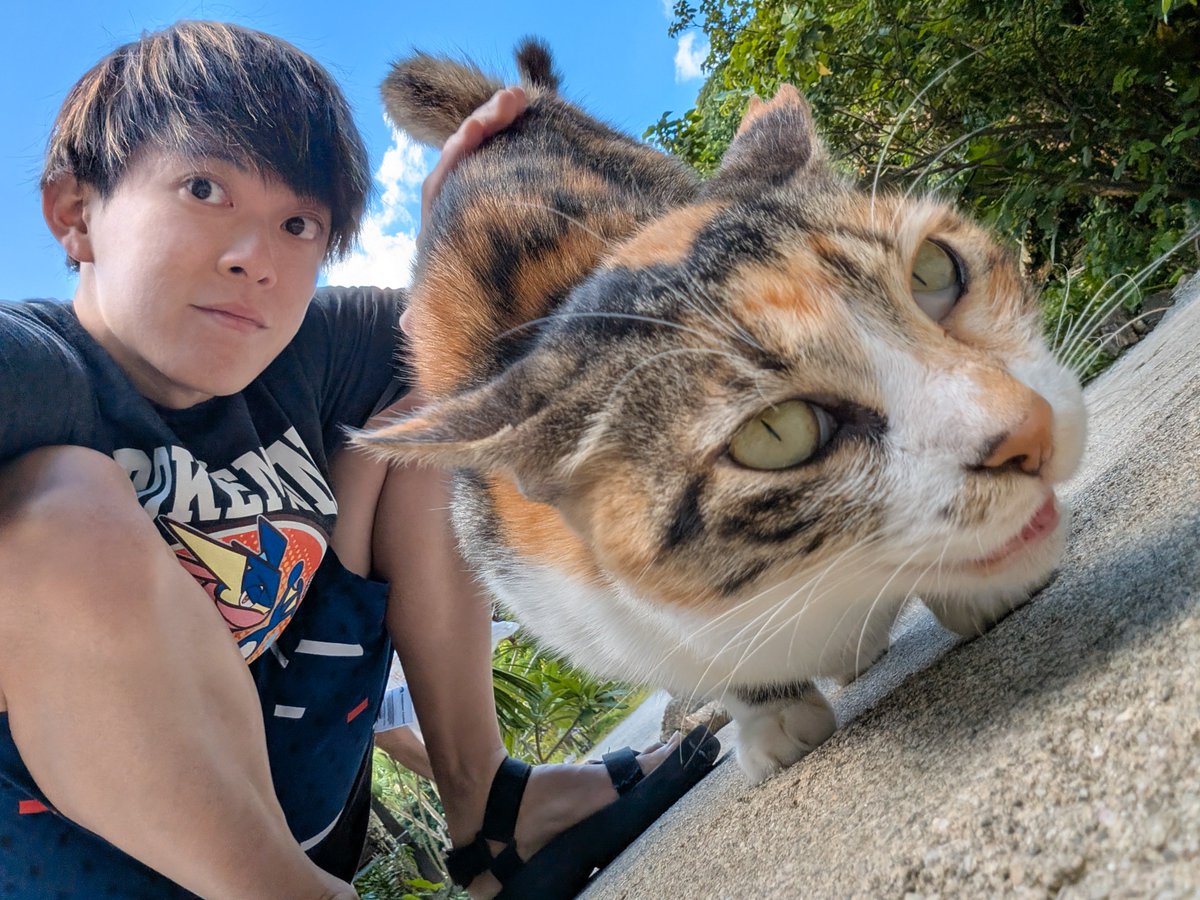 ryogomatsumaru's tweet photo. あのあのあの、違うんです。浮気じゃないんです。
これには理由がありまして。

この野良猫ちゃんが自分からおしりを差し出してきたんです。僕がポンポンしたかったわけじゃなくて… すみません。浮気じゃないんです。本当です。 https://t.co/mRuYGmUHaz