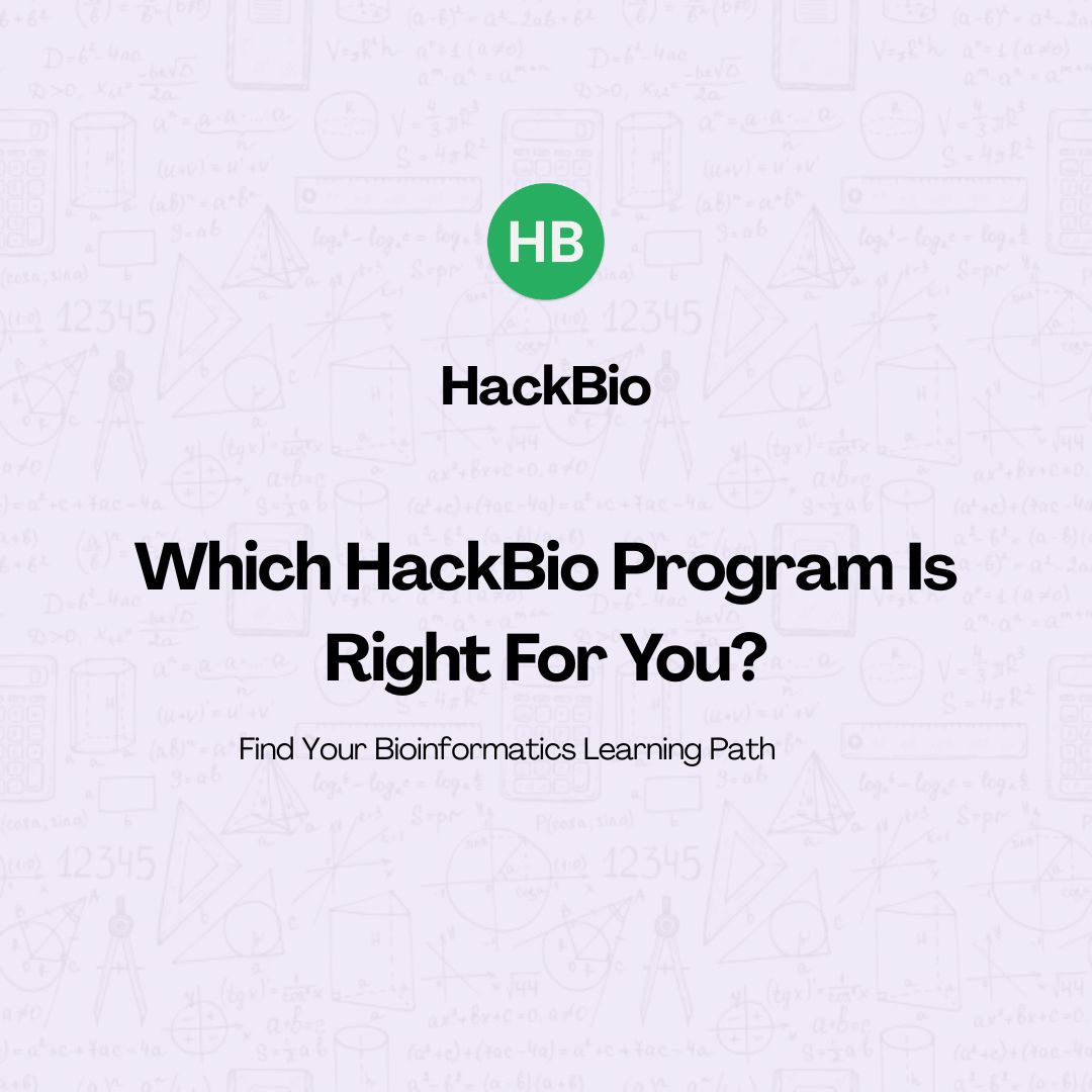 TheHackbio's tweet photo. At HackBio, you can choose between Courses and Pathways, depending on where you are in your learning journey.

Courses are perfect if you want to learn or strengthen a specific skill.
Want to learn Python?
Need to improve your Linux skills?
Want to understand a particular area https://t.co/onT1Ns2qrC