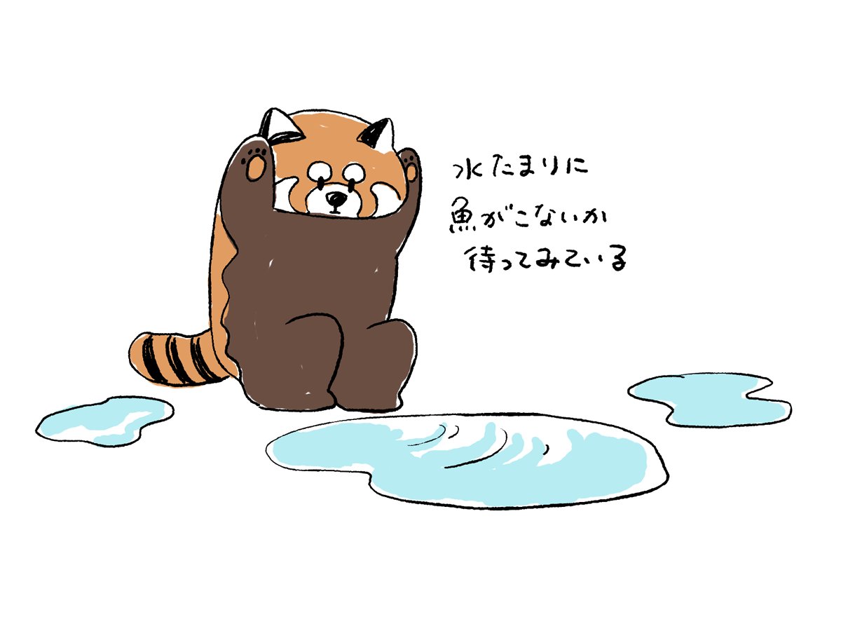 ikaku_g's tweet photo. https://t.co/Mg76ggx88d