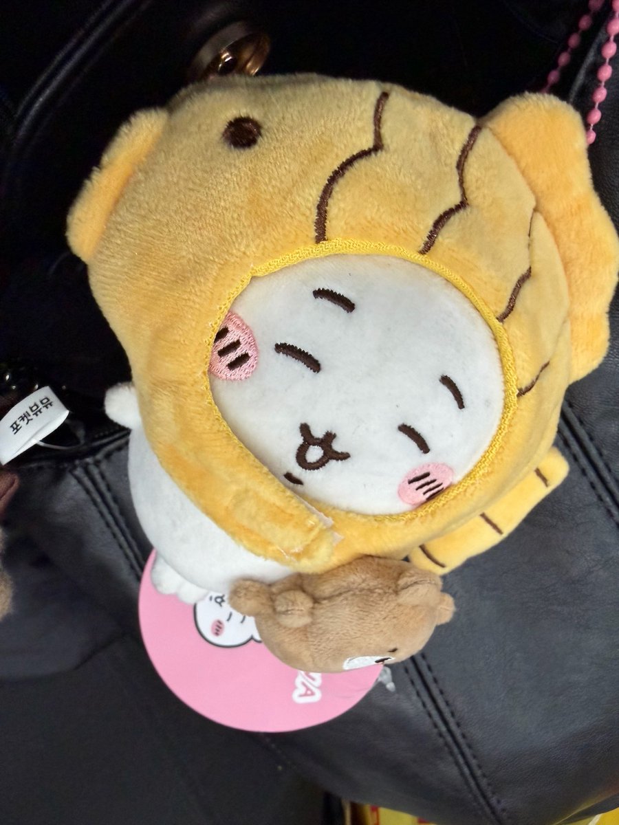 baduk_2's tweet photo. 붕어빵 모자를 쓴 치이를 보시라 https://t.co/VENdwZAX8a