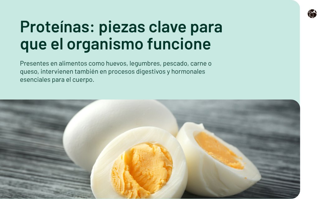 OximesaNG_TRD's tweet photo. 🥚 ¿Sabías que las #proteínas deberían representar alrededor del 15% de las calorías diarias?

Son esenciales para formar músculos y piel, transportar #nutrientes y participar en las defensas del organismo

https://t.co/aJR8CqAoPE https://t.co/YB8z9Ejja1
