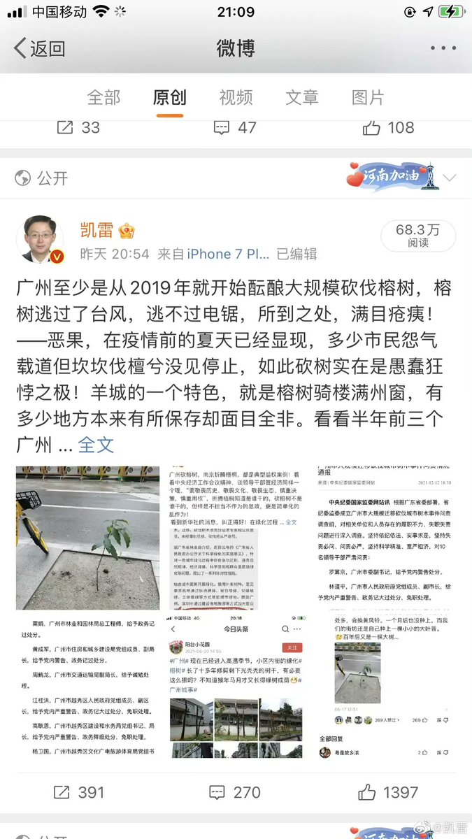 huangheganjian1's tweet photo. 榕树骑楼满州窗，砍树书记今落马。
整整五年，广州大砍榕树超3000棵，偷天换日植了一棵小树苗（见图3），小叶榕已长了五年，61岁张硕辅生日后以为平安无事终被带走，今天长假结束上班第一天官宣落马。 https://t.co/9QMLts8o4S