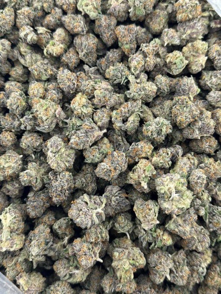 GreenDistrmqqt's tweet photo. Bacio Gelato indoor smalls 😈

Licensed, frosty purple indoor smalls with a 9/10 creamy gelato nose 🪪

£235 qp
£330 hp
£550 p

5+ £675
10+ £625

In town £625 p

Tap in ⬇️ https://t.co/E2IGWLoBO9 https://t.co/3NI3Gnawf1