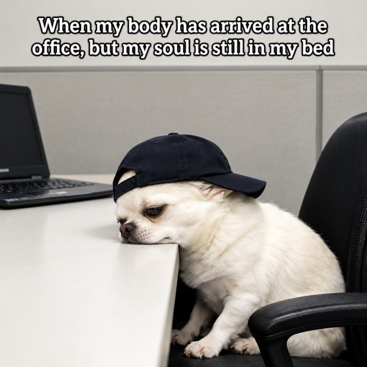 Blessing_UIUX's tweet photo. My body: “We’re at work.”
My soul: “Are you sure?” 😂😭
#WorkLife #Relatable #MidweekMood https://t.co/aKDcppIr65