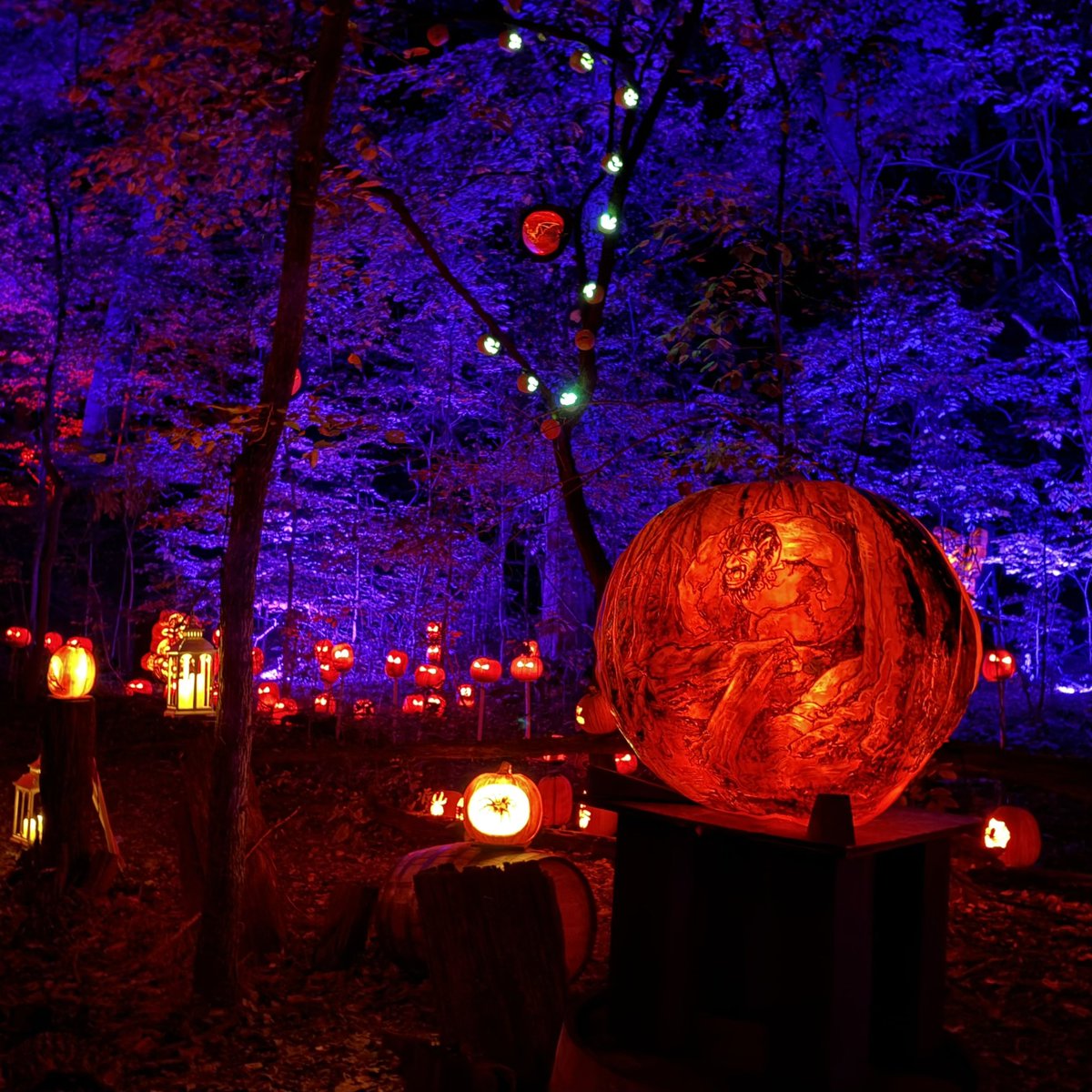 STEMLabOnTheGo's tweet photo. Spooky season fun, at Jack’s Lantern Trail, in Louisville. 🎃

#jackslanterntrail #SpookySeason #louisvilleky https://t.co/tUjRUgBwGl