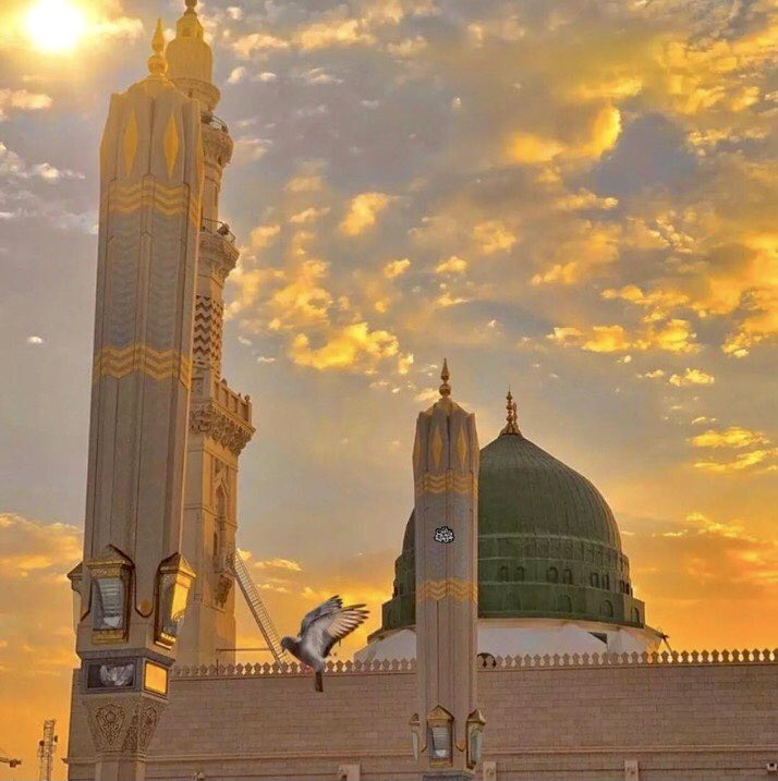 SyedaNaqvi50's tweet photo. Peace Be Upon You, O' the Mercy for all the world's, the messenger of Allah 💚🕊♥️
#ProphetForAll https://t.co/MN091hVKnM