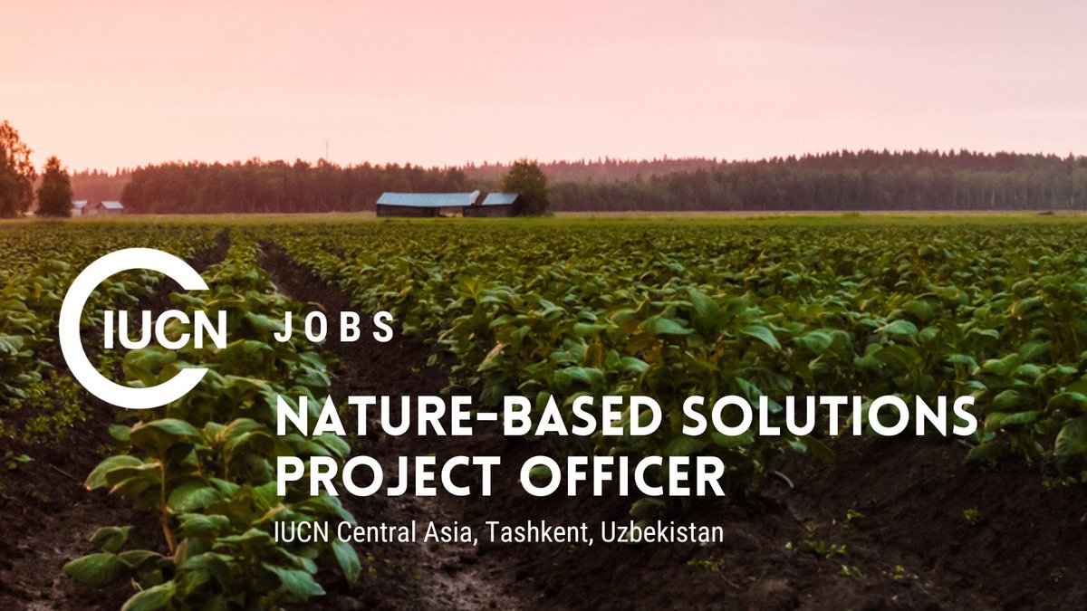 IUCN_ECARO's tweet photo. ⏳One week left to apply! #ConservationJobs
Applications are still open for the Central Asia Nature-based Solutions Project Officer position with IUCN, based in Tashkent, Uzbekistan. We are looking for an experienced professional to support IUCN’s work on #NatureBasedSolutions across #CentralAsia, with a particular focus on agriculture and agricultural landscapes.
📍Location: Tashkent, Uzbekistan
🗓️ Application deadline: 15 October 2026
Interested? Know someone who might be a great fit? There are only a few days left to apply, so please help us spread the word by sharing the opportunity with your networks 🙌
For more info and to apply, go here 👉https://t.co/bvvAREiPtC
#IUCNCentralAsia #JobOpportunity @UNjobs #EnvironmentalCareers