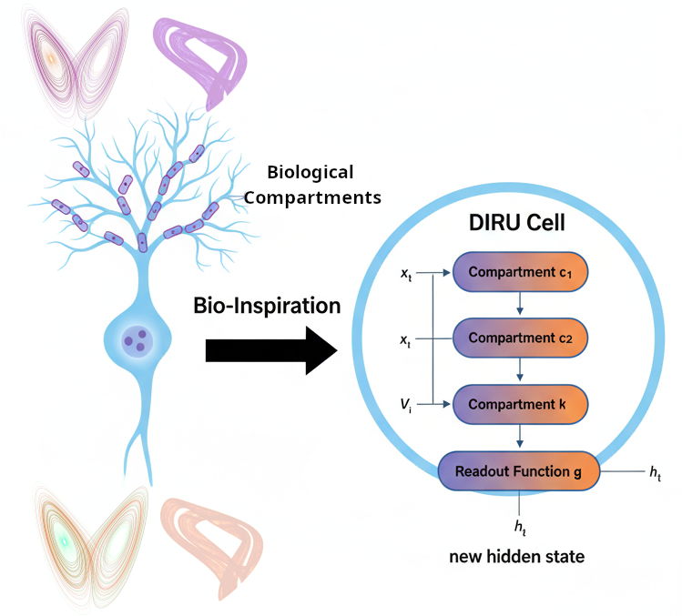 Dr_Alex_Crimi's tweet photo. New paper out on #RNN with Binds group from @unipa_it and @neurotechx Berlin
"DIRU: Dendrite-Inspired Recurrent Units for Learning Chaotic Dynamics and Neonatal #Epilepsy Time Series"
https://t.co/Z2xusJWV5k
Code: https://t.co/4cOjav0sS3
Data: #EEG of Helsinki infant hospital https://t.co/dDlgkej7jj