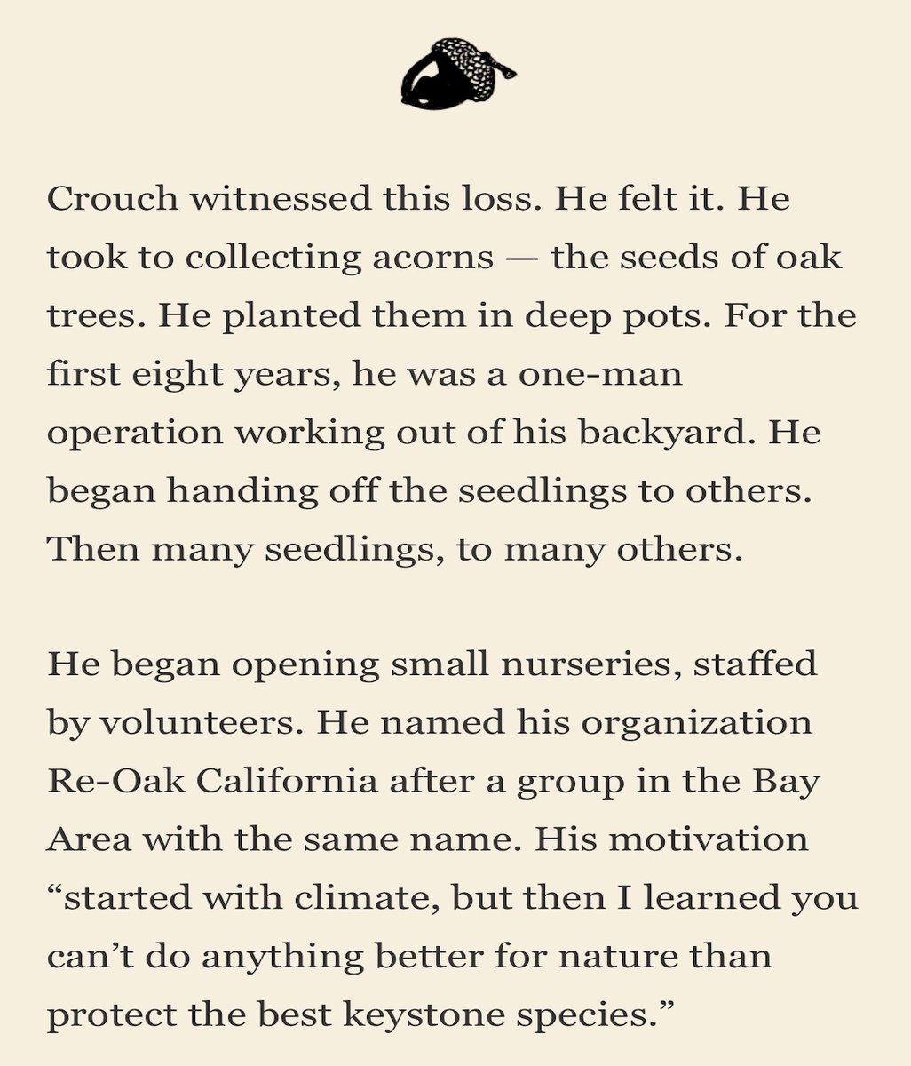 KindnessChamps's tweet photo. 10,000 oak seedlings🌳
California is losing oak trees. Jim Crouch is on a mission to bring them back, and with the help of others is planting acorns he has picked up🥳 #oaktrees #trees #bethe1to #thereisgood❤️
Credit @LATimes😊 https://t.co/ZwG1Pg9js9 https://t.co/NpXjUKxKUl