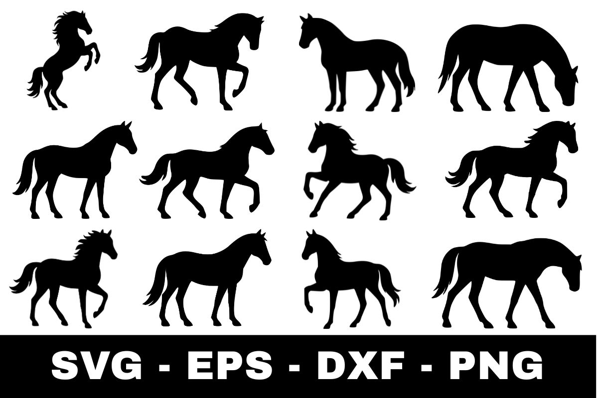 WieDigitalArt's tweet photo. ✨ New design alert: Horse svg Bundle | 12 Equestrian Silhouette. Perfect for crafting, apparel &amp; creative projects.

Explore it via the link in my bio.
#DigitalArt #SVGDesign https://t.co/Eii5ty2Bc0