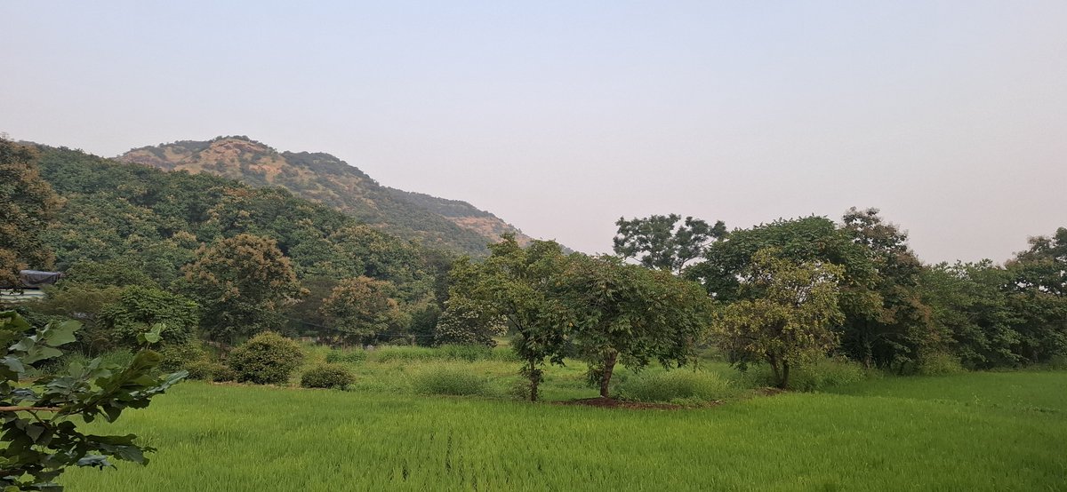 khuli_almari's tweet photo. @sangaldoo Birding is so fun, doesnt need anything except binoculars (unless you also decide to buy an expensive camera too for photography). You get to explore new places and you start appreciating and understanding nature a lot more and works well with my ADHD https://t.co/FYkgjzVSPN