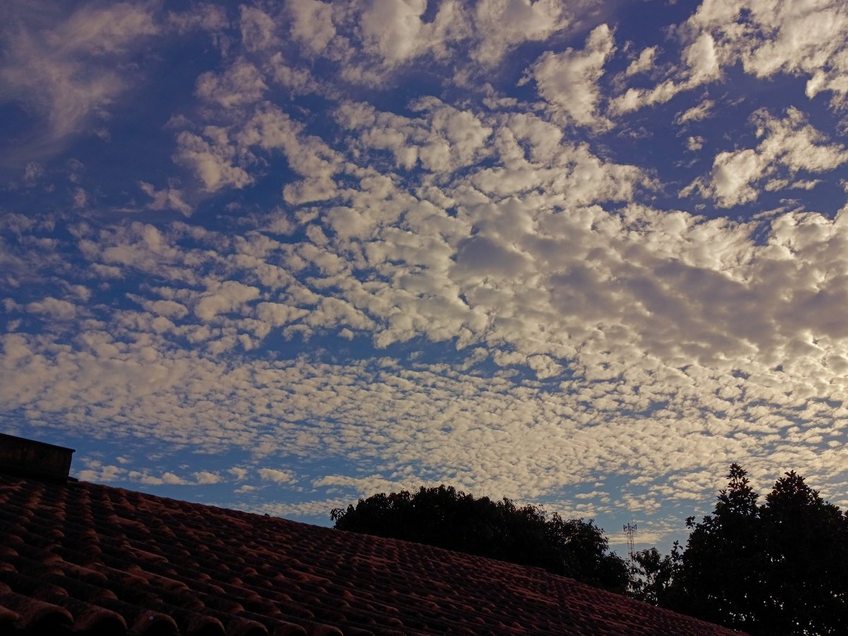 josysvribeiro's tweet photo. Céu de Linhares hoje. By Asaphe César. https://t.co/cFIJYHEUNi