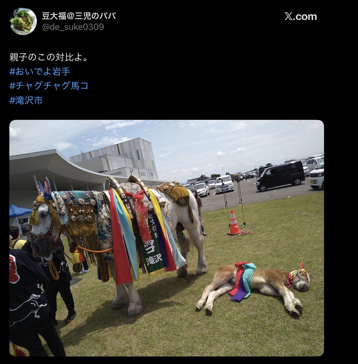 1234gjmo's tweet photo. ほんと草 https://t.co/XKRdi5fKvK