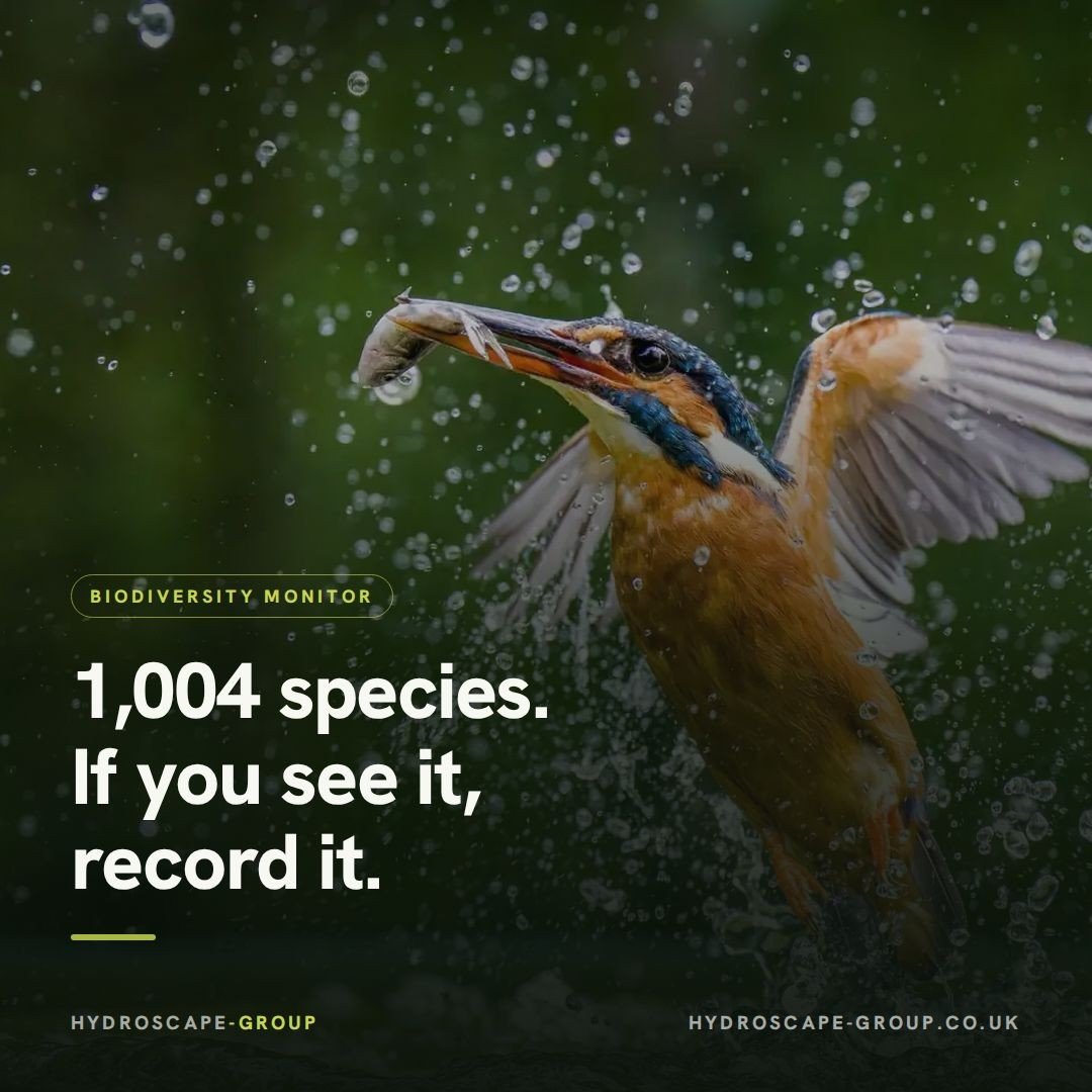 HydroscapeGroup tweet picture