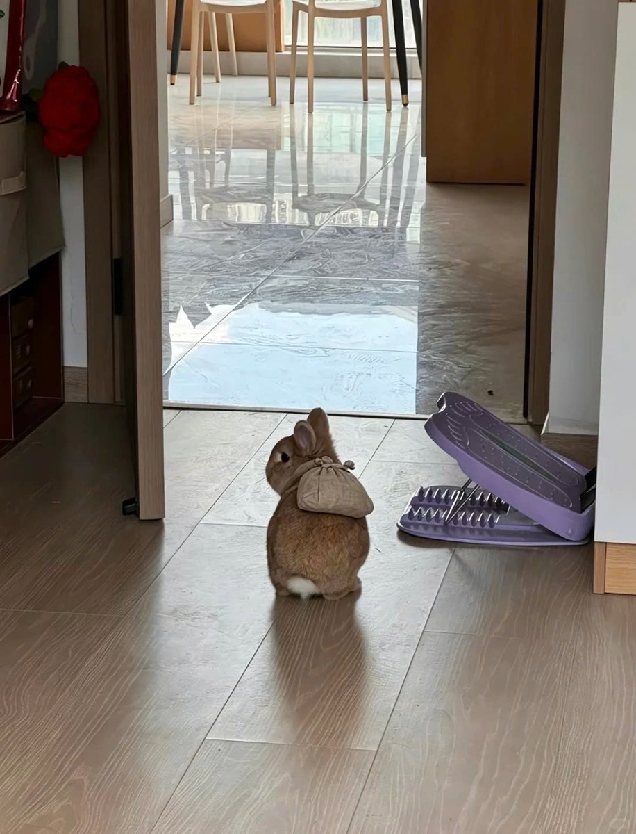 ShouldHaveRabit's tweet photo. I’m moving out. https://t.co/Sp3rlcAw6L