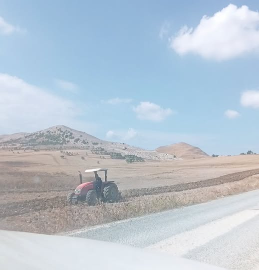 RenadRagheb's tweet photo. انطلاق موسم الحرث بربوع جومين 💚🇹🇳 https://t.co/GMiZv5ksBm