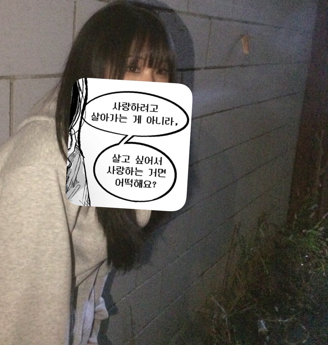 Yahoju2's tweet photo. #정병계_𝕏친소 #우울계_𝕏친소
일상공유하자 고딩부터만 https://t.co/CwB84Xt9wm