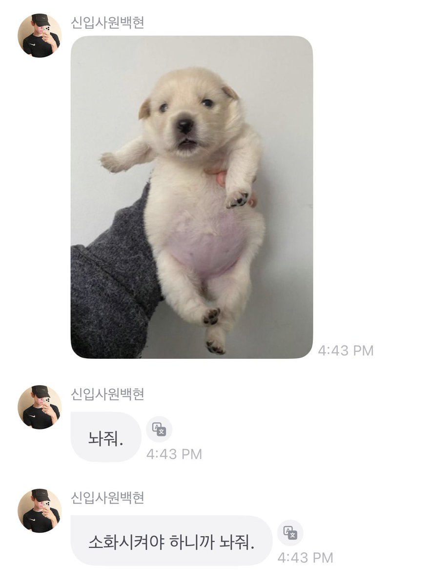bbbhyunn's tweet photo. 🐶 : ป่อยชั้นลงนะ
🐶 : ป่อยชั้นสิ ชั้นจะย่อยข้าว!

อ้วรรรรรรร ลูกหม๋าอ้วรพุนเป่งของแม่ ต้องโดนฟัดพุนก่อนน้ะแบบนิ้ 😭🤲🏻🍼🍼 https://t.co/0VkxJQs8PX