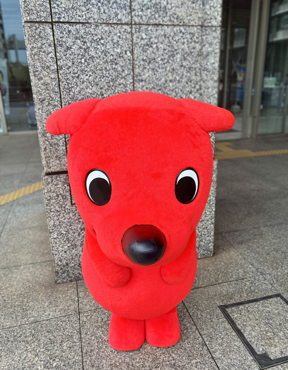 chi_bakun_chiba's tweet photo. お友達のみんなへ
心配かけちゃってごめんなさい。
チーバくんX元に戻りました🥹
画像は少しずつ復活してくるみたい。
これからもよろしくお願いします🙏 https://t.co/ivyF7B4bTd