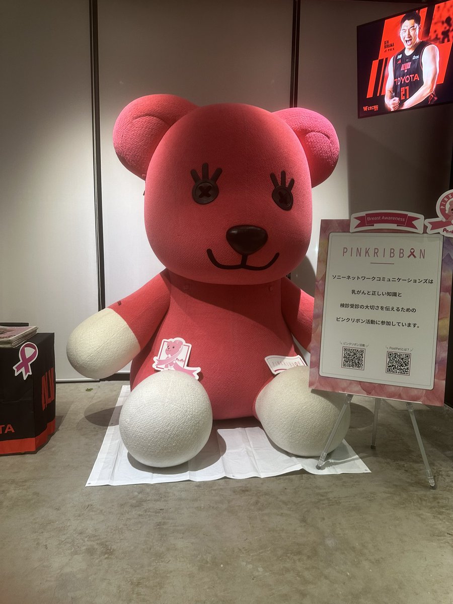 13yuka's tweet photo. 本日はこちら💁‍♀️
アルバルク東京は今月ピンクリボン運動実施中！
#アルバルク東京ピンクリボン https://t.co/fmvfgxipF0
