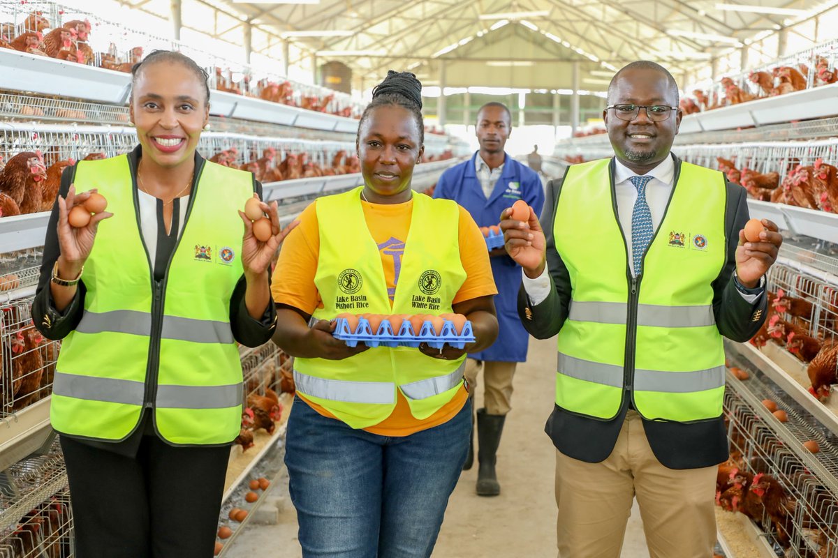 LBDAgov's tweet photo. During her LBDA tour the PS @dr_karugu also Inspected the newly established poultry unit producing 500 crates of eggs per day, apart from using the facility as technology transfer to farmers she encouraged LBDA to comercialize it for sustainability. 

#SmartSustainableDevelopment https://t.co/3XkeT6Hw6s