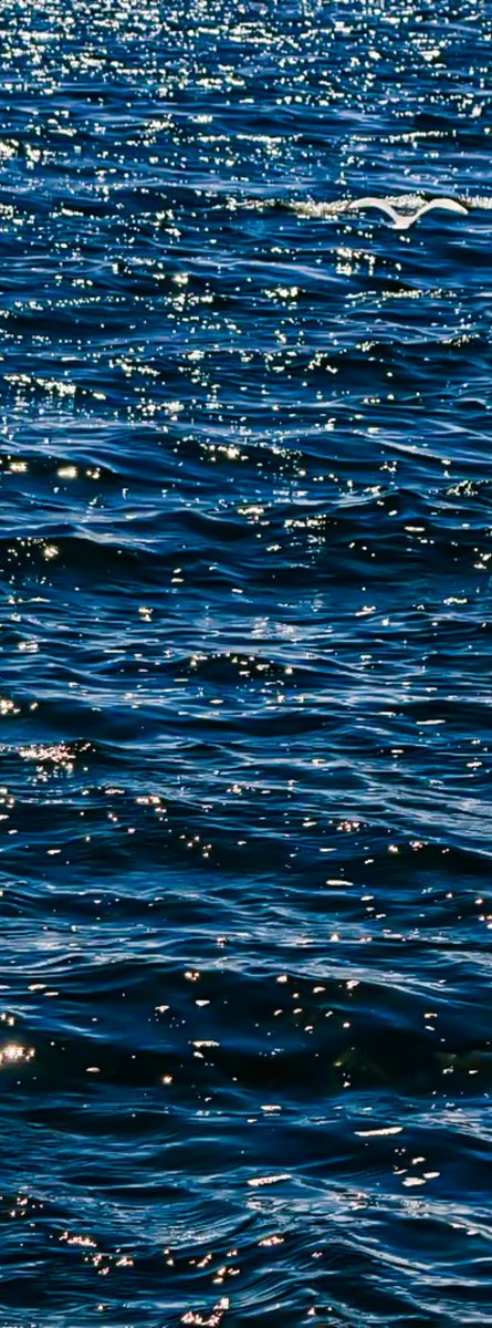 crvntsvlu's tweet photo. 🌊::  golden 𝓈𝓀𝒾𝑒𝓈,  warm 𝓃𝑜𝓃𝑒  &amp;  𝒸𝑜𝑜𝓁 𝓌𝒶𝓉𝑒𝓇 𑣿  𝒶 𝓈𝓊𝓂𝓂𝑒𝓇 𝓈𝓉𝑜𝓇𝓎  ɮe͟l͟l͟o͟ng͟s  to  ƭɦεɱ https://t.co/s8D0bhqsUY