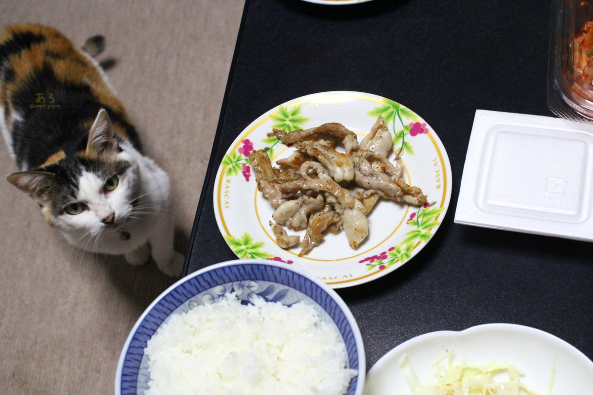 pope_popen's tweet photo. いただきまーす😋
食べたいにゃ🐱

#夕飯 #猫 https://t.co/18TcfBtyGb