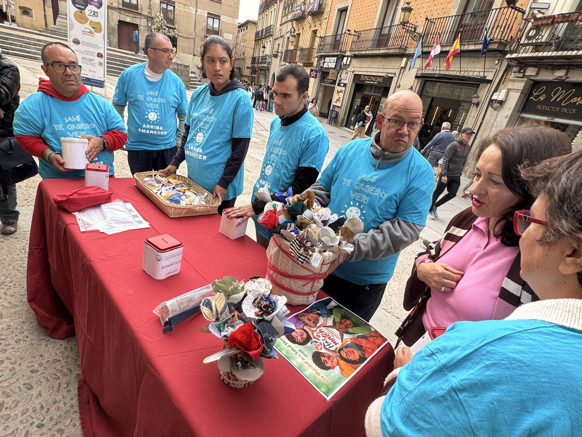 DipuSG's tweet photo. 💐🫂 @amanecersg ha salido a la calle para concienciar sobre la importancia de su labor

📆 Cada 10 de octubre se celebra el Día Mundial de la Salud Mental y la Diputación de Segovia ha vuelto a mostrar su apoyo al colectivo https://t.co/1Cy1ksK7BB