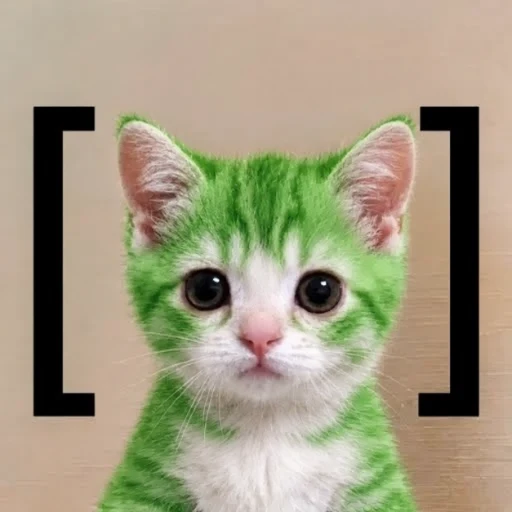 Stally_P's tweet photo. WAIT 

This is actually insane if you think about it 

ITS THE NEXT LEG IN THE BRACKET PF TREND???

Why dont we just run a meme???

We had Brackat run hella 

Now we have a new iteration https://t.co/G9tM3XFhcR