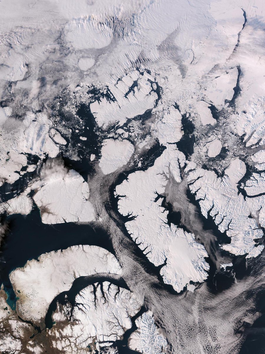 KubiliusA's tweet photo. Today marks a new milestone for Europe in space. 🇪🇺🛰️

We unveil the first images from sentinel 3C a landmark moment for @CopernicusEU and for Europe’s ambition in space.

A powerful reminder of how European investment delivers knowledge, resilience and benefits for our citizens. https://t.co/zrjmWtzzBN