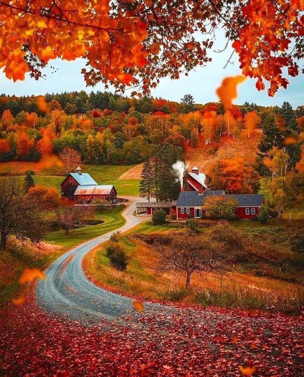 DorVakili's tweet photo. 🍁🍂🍂🍂🍁 https://t.co/uLQXzUqkSr