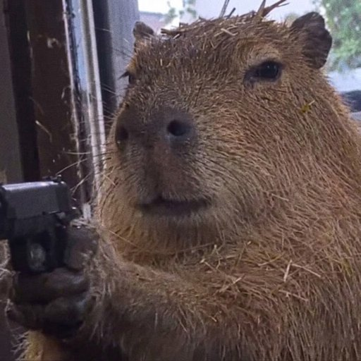 laoyingkhq's tweet photo. #sol #bsc 链上热点叙事 10.8
1、 #CAPYBARA
Capybara With A Gun 发帖展示了一只拿着枪的水豚 $750K
CA:3xrw3JKyaSYjzksYc8nrZE1kReQAxoHT3epi3P1mpZVf
2、 #BORDR
Bordrless 创始人发帖称 DEX 即将上线 $1.6M
CA:6Mix12LiHrQFojaQEnfPUC65Qkwd6X4Y5Qg93oFbordr
3、 #SharkTank
Shark Tank 官方账号发帖谈及其新代币上线 https://t.co/mmmJa1r0wl $400K
CA:HaQdrXRUoxxk1qLFZJNrSyzWNjn16o1r1np5h6jipump
4、 #骑士小猫
金术师发布了关于病毒式骑士小猫模因的帖子 $120K
CA:0xaf9321d1373b796b3d6346d8d038fdc6d1e37777
5、 #CHOP
CHOP发帖谈及砍柴日志应用 $500k
CA:0x100765a16f42636bd84ee1e86bc5107b84bcdba3
6、 #TWEETCRAFT
Jaivinwylde 发帖谈及 Tweetcraft 代币 $1M
CA:HzYCHqAN2uoHGRnL9v2ChCfFQX3bvJuJd5zu2Hd5MZQy
7、 #AUTON
AUTON 机器人头像在推特发帖,背景是其标志性的 U 形身躯。 $1.3M
CA:39ahtL8ynzE4amH26J29C93PA5172V3ft9UuUcqQS8fz
