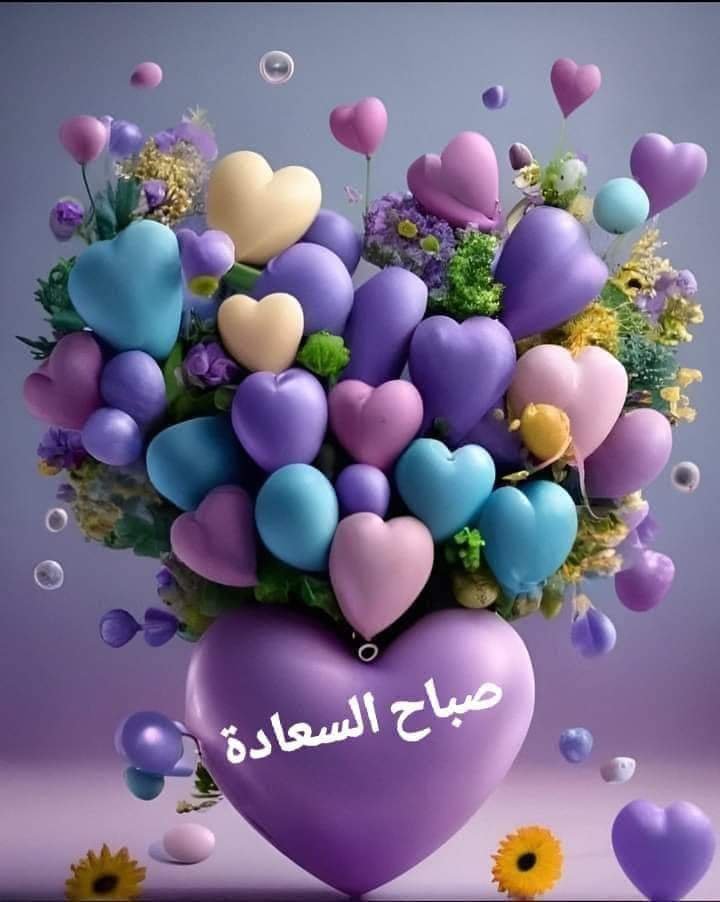 mdldhsn5's tweet photo. @noor_3455 https://t.co/ymRxCr4jt0