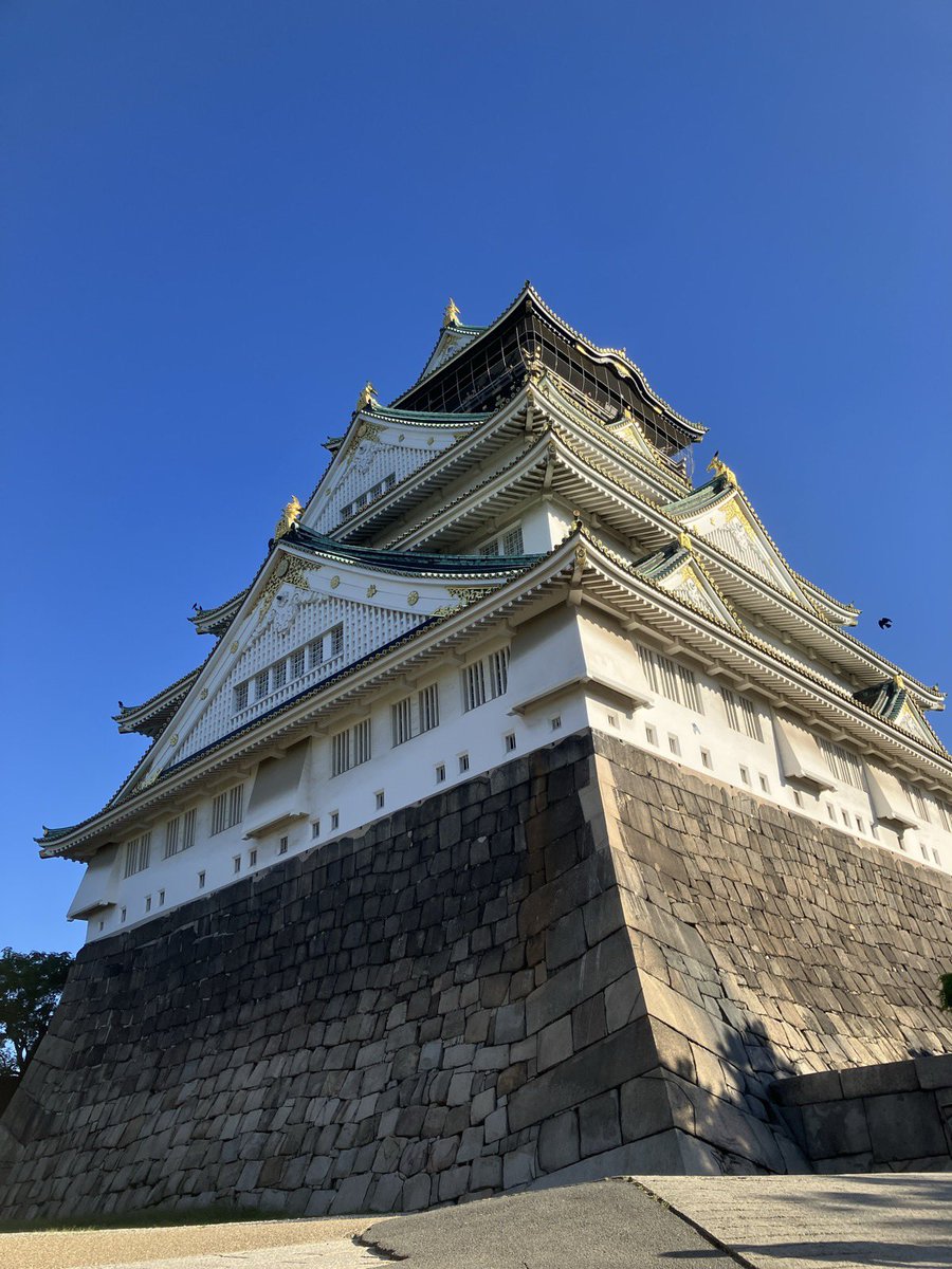 nekokichi4619's tweet photo. 豊臣兄弟の幟 はためく大坂城☀️
も良かったけど今回のメインは藤田美術館
ついに菊花天目（国重文）に拝謁叶いました
黄色が目を惹く遠州好みの綺麗サビ
国産という点が文化の昇華感あり感服🍵 https://t.co/Fp9DIlctbD